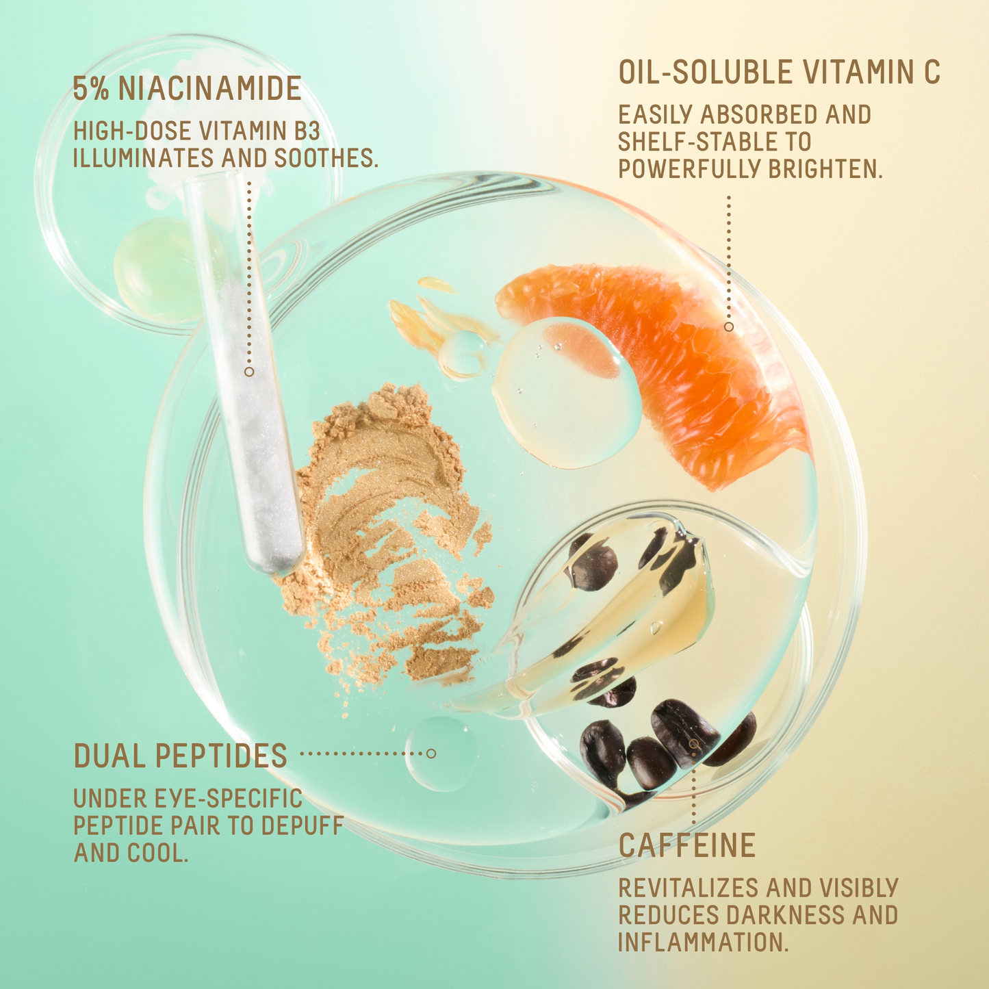Squalane + 5% Niacinamide Brightening Eye Serum