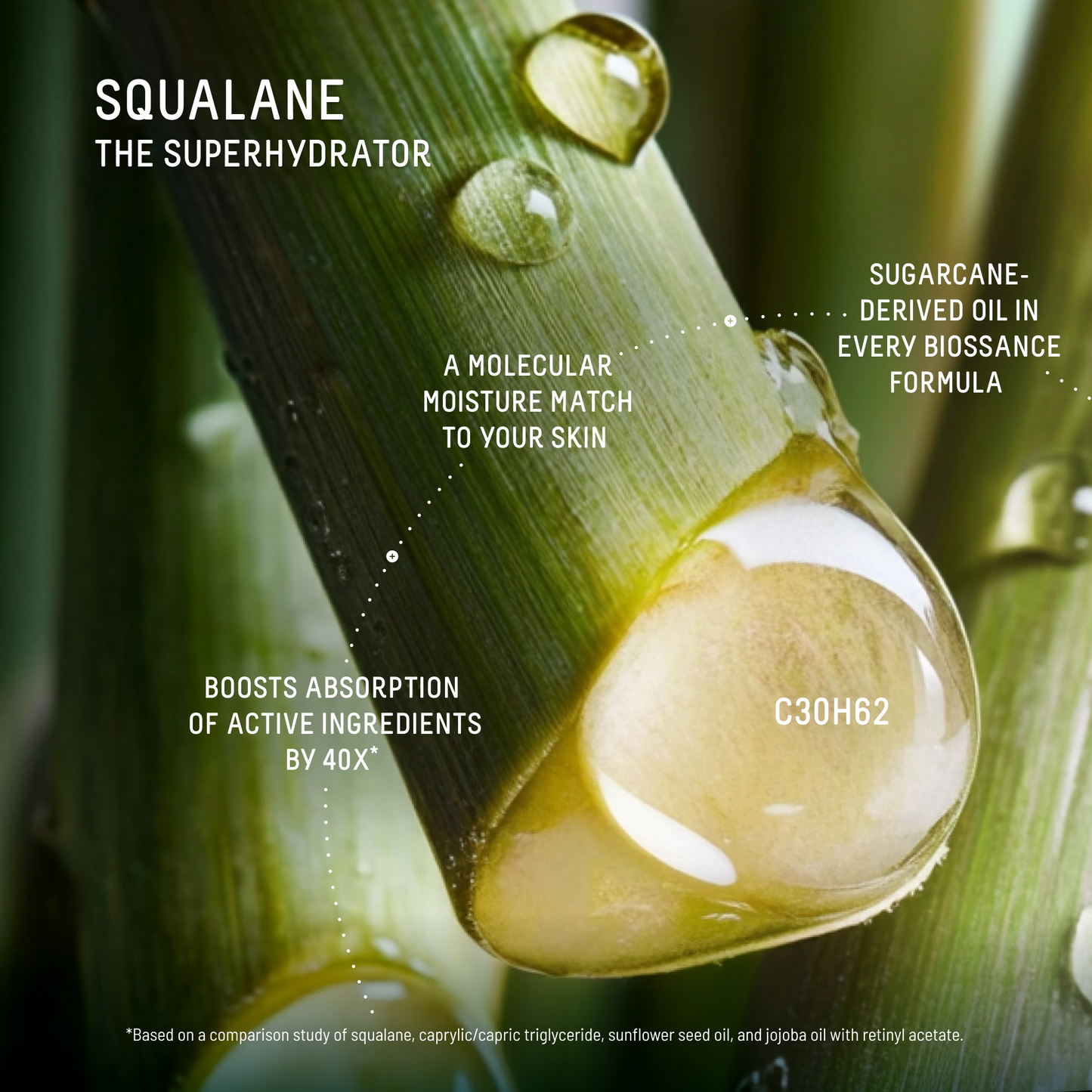 Squalane + 5% Niacinamide Brightening Eye Serum